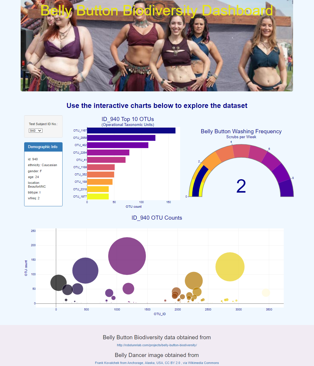 Dashboard - Bellybutton Diversity